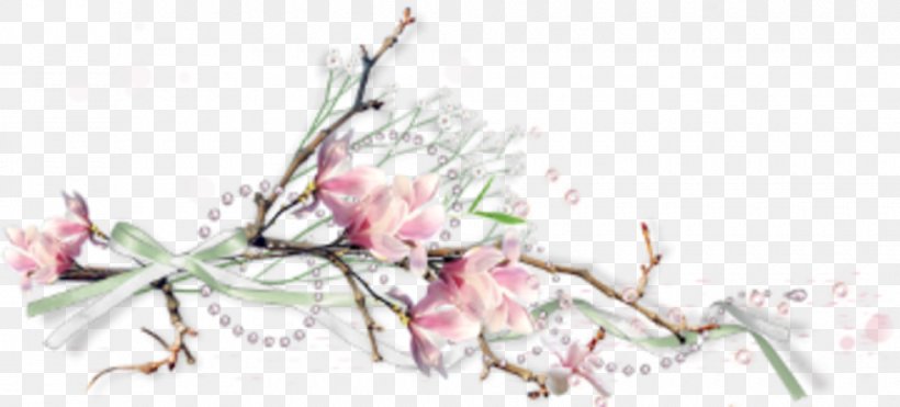 Clip Art, PNG, 980x444px, Drawing, Blossom, Branch, Bud, Cherry Blossom Download Free