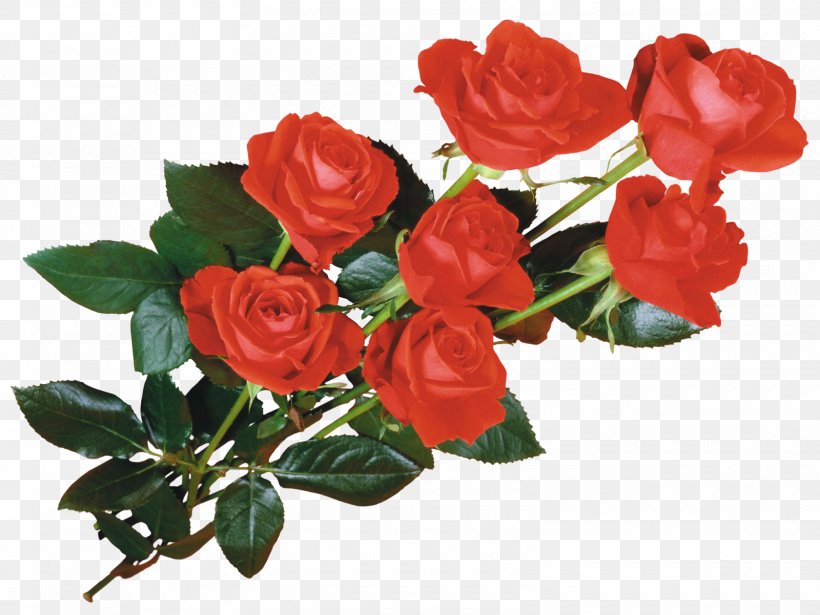 Rose Desktop Wallpaper Flower, PNG, 1600x1201px, Rose, Animation, Artificial Flower, Blue Rose, Cut Flowers Download Free