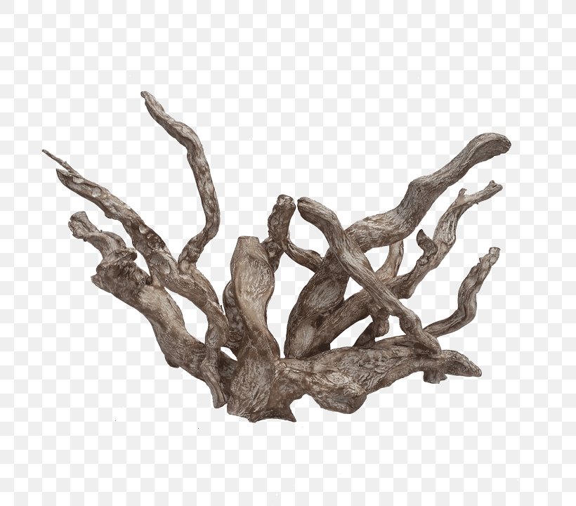 Art Driftwood White River Coral Pacific, PNG, 720x720px, 3d Computer Graphics, 3d Modeling, Art, Branch, Com Download Free