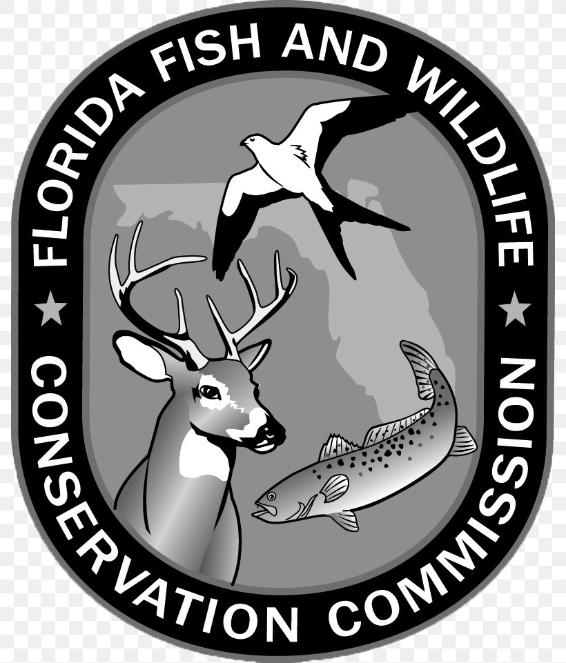 Florida Fish And Wildlife Conservation Commission Chassahowitzka Wildlife Management Area Apalachee Wildlife Management Area Government Agency, PNG, 788x961px, Wildlife, Black And White, Brand, Citrus County Florida, Conservation Download Free