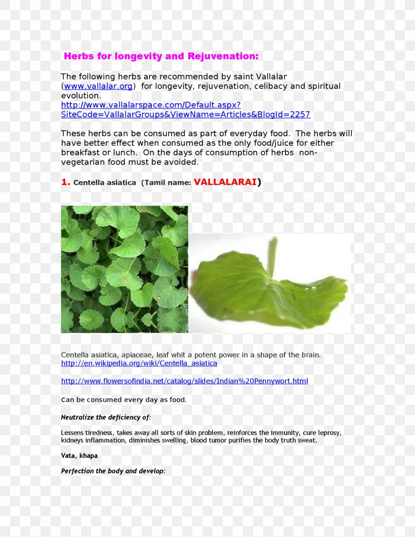 Herbalism Medicine Leaf Waterhyssop, PNG, 1700x2200px, Herbalism, Chronic Condition, Disease, Ebook, Herb Download Free