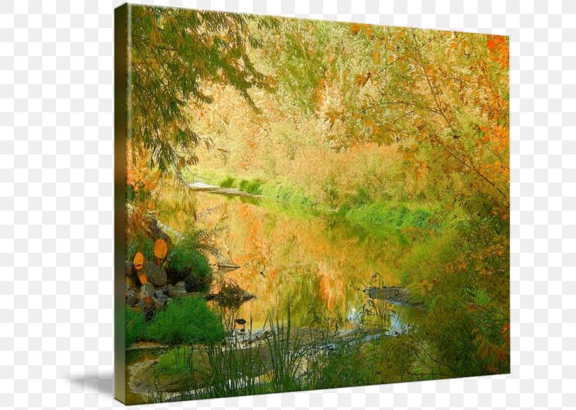 Painting Biome Flora Gallery Wrap Vegetation, PNG, 650x584px, Painting, Art, Autumn, Bank, Bayou Download Free