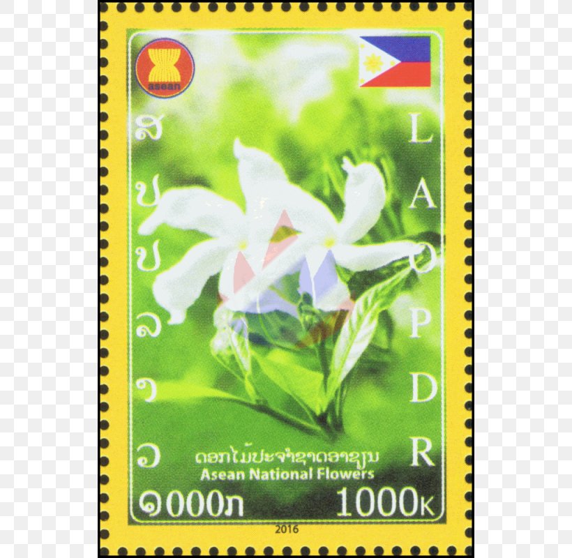 Arabian Jasmine Association Of Southeast Asian Nations Flower Vanda 'Miss Joaquim' Olives, PNG, 800x800px, Arabian Jasmine, Asean Plus Three, Flora, Flower, Flowering Plant Download Free