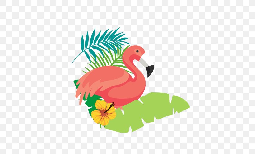 Flamingo Download, PNG, 572x495px, Flamingo, Beak, Bird, Chicken, Ducks Geese And Swans Download Free