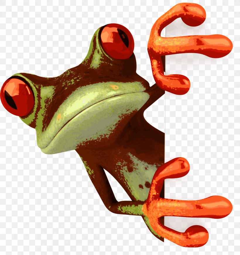 Frog Drawing Cartoon Clip Art, PNG, 1680x1787px, Frog, Amphibian, Animation, Cartoon, Drawing Download Free