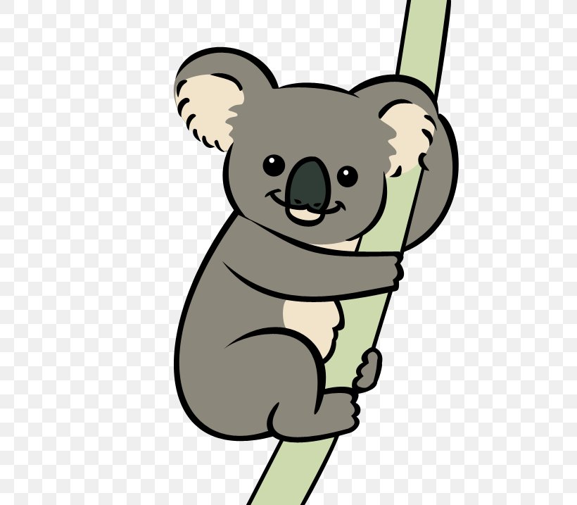 Koala Bear Animation Marsupial Clip Art, PNG, 555x717px, Koala, Animal, Animation, Bear, Carnivoran Download Free