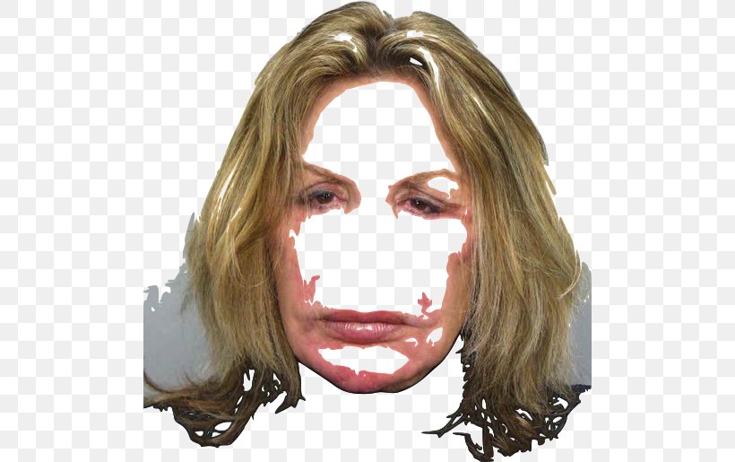 The Real Housewives Arrest Reality Television Housewife Mug Shot, PNG, 500x515px, Real Housewives, Arrest, Brown Hair, Cheek, Chin Download Free