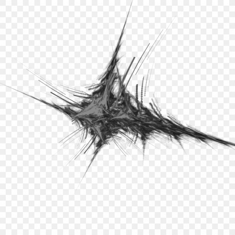White Line Work Of Art, PNG, 894x894px, White, Artwork, Black And White, Close Up, Invertebrate Download Free
