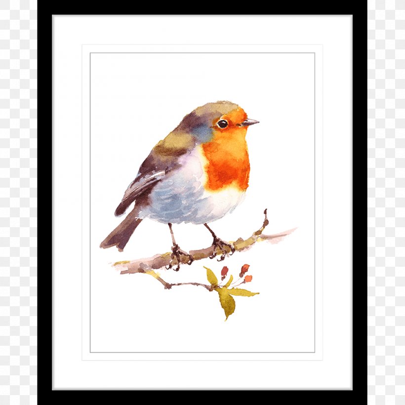 Bird European Robin Watercolor Painting Drawing, PNG, 1000x1000px, Bird, American Robin, Art, Beak, Branch Download Free