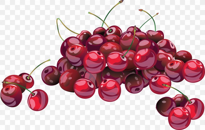 Cherry Clip Art, PNG, 3435x2180px, Cherry Pie, Berry, Cherry, Cherry Blossom, Cranberry Download Free