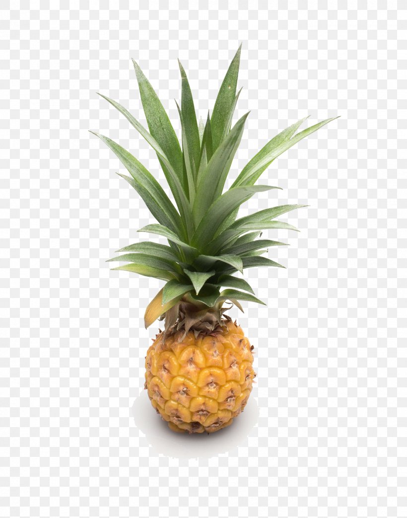 Pineapple Auglis Fruit Google Images, PNG, 1400x1782px, Pineapple, Ananas, Auglis, Bromeliaceae, Flowerpot Download Free