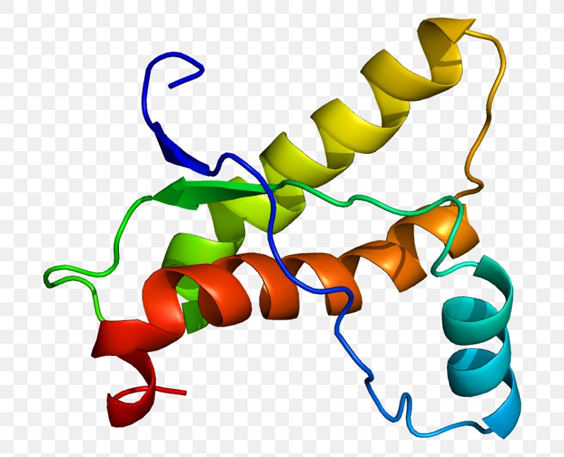 PRNP Prion Protein Folding Viroid, PNG, 746x665px, Prion, Artwork, Beta Sheet, Bovine Spongiform Encephalopathy, Capsid Download Free