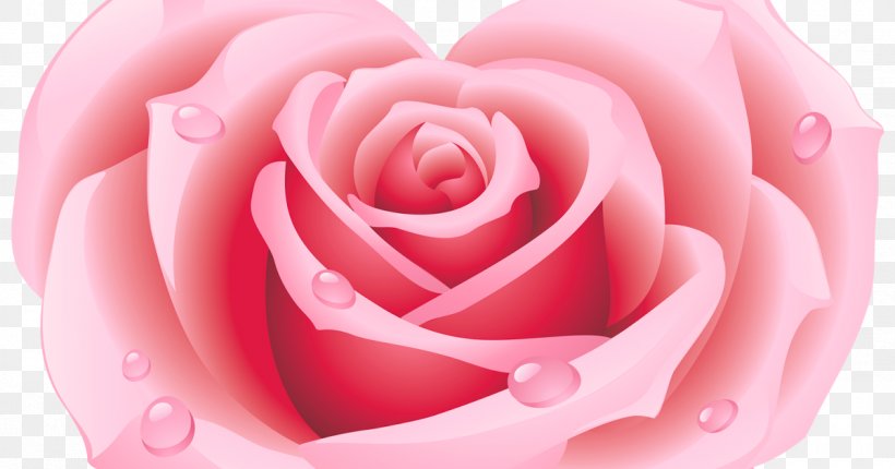 Rose Heart Drawing Clip Art, PNG, 1200x630px, Rose, Close Up, Cut Flowers, Drawing, Flower Download Free