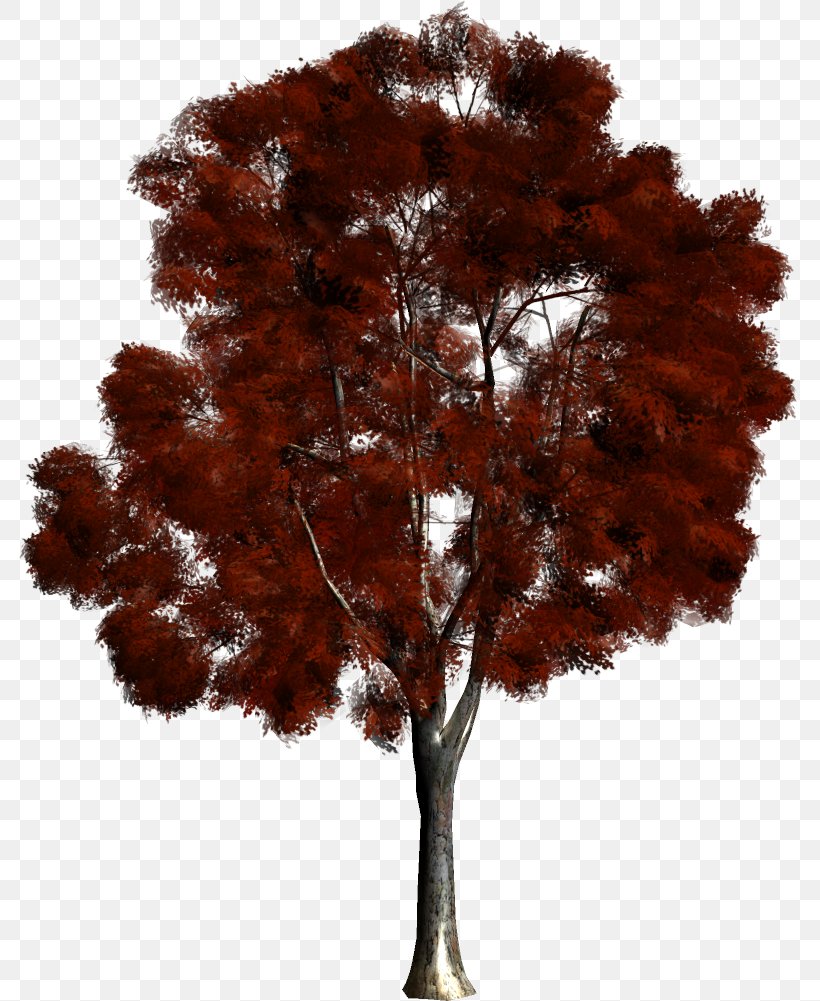 Tree Forest Maple Clip Art, PNG, 782x1001px, Tree, Branch, Forest, Garden, Leaf Download Free