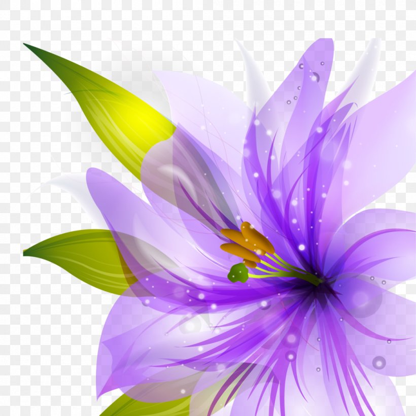 Border Flowers Purple Desktop Wallpaper, PNG, 1050x1050px, Border Flowers, Aquatic Plant, Blue, Close Up, Color Download Free