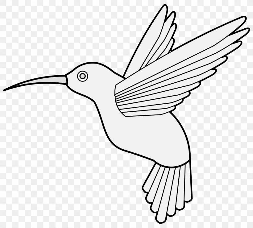 Bird Line Drawing, PNG, 1237x1115px, Hummingbird, Beak, Bird, Coloring Book, Coraciiformes Download Free