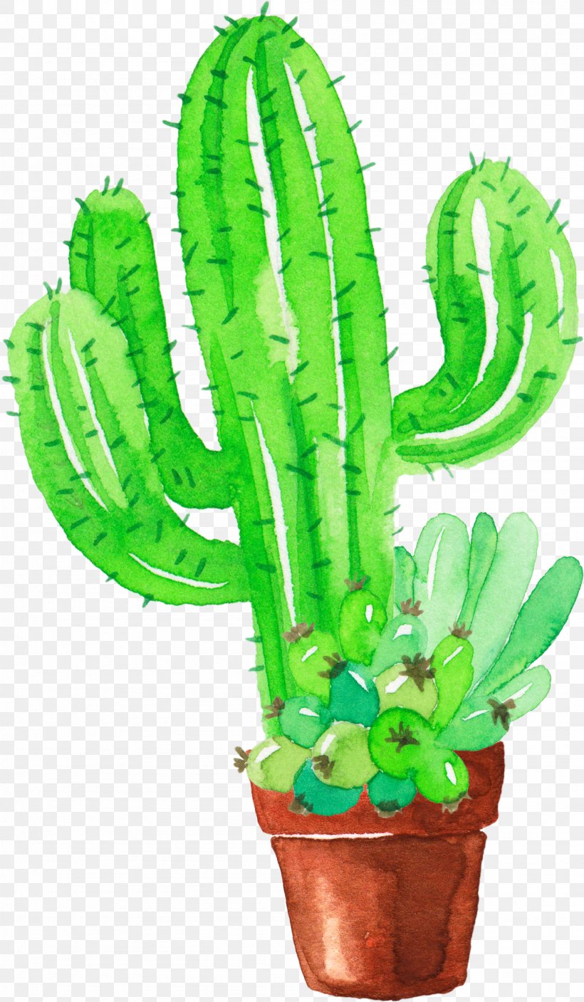Cactaceae Watercolor Painting Succulent Plant Pinaceae, PNG, 2001x3434px, Cactaceae, Cactus, Caryophyllales, Flowering Plant, Flowerpot Download Free