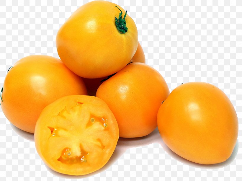 Cherry Tomato Persimmon Pear Tomato Fruit, PNG, 872x652px, Cherry Tomato, Better Boy, Citrus, Diospyros, Ebony Trees And Persimmons Download Free