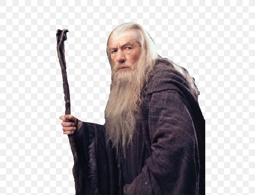 Gandalf The Lord Of The Rings: The Fellowship Of The Ring Legolas, PNG, 500x626px, Gandalf, Beard, Display Resolution, Elder, Facial Hair Download Free