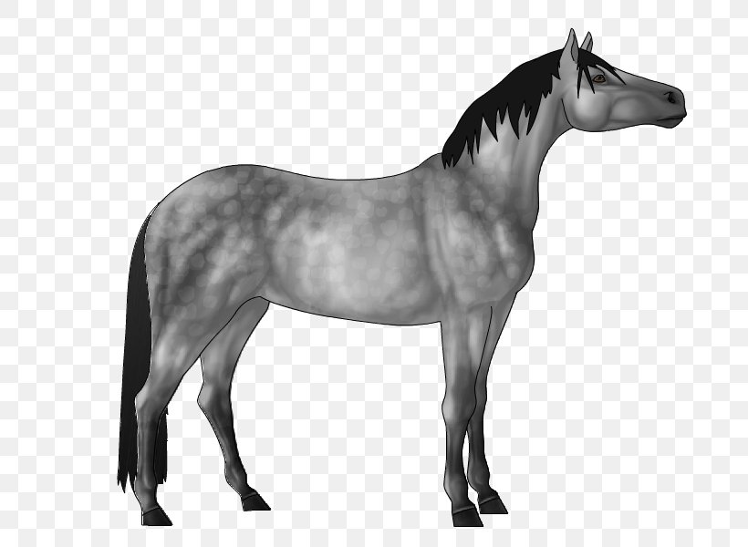 Mane Mustang Stallion Mare Pony, PNG, 730x600px, Mane, Animated Film, Bit, Black, Black And White Download Free