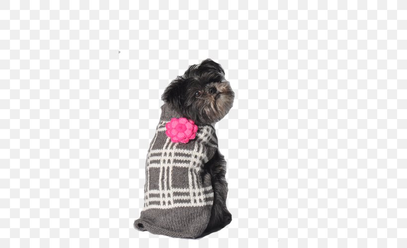 Schnoodle Affenpinscher Puppy Dog Breed Clothing, PNG, 500x500px, Schnoodle, Affenpinscher, Clothing, Coat, Dog Download Free