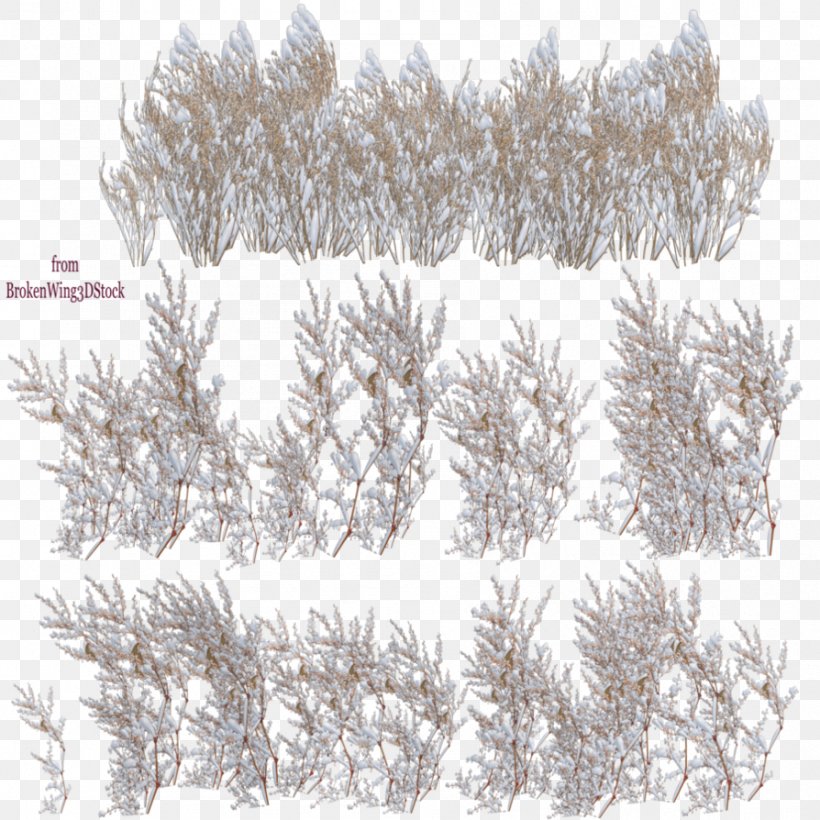 Tree Snow Clip Art, PNG, 894x894px, Tree, Black And White, Blizzard, Branch, Conifer Download Free