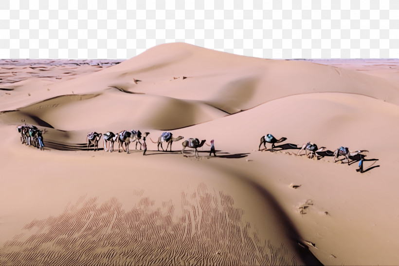 Desert Sand Natural Environment Erg Dune, PNG, 1500x1000px, Desert, Aeolian Landform, Dune, Ecoregion, Erg Download Free