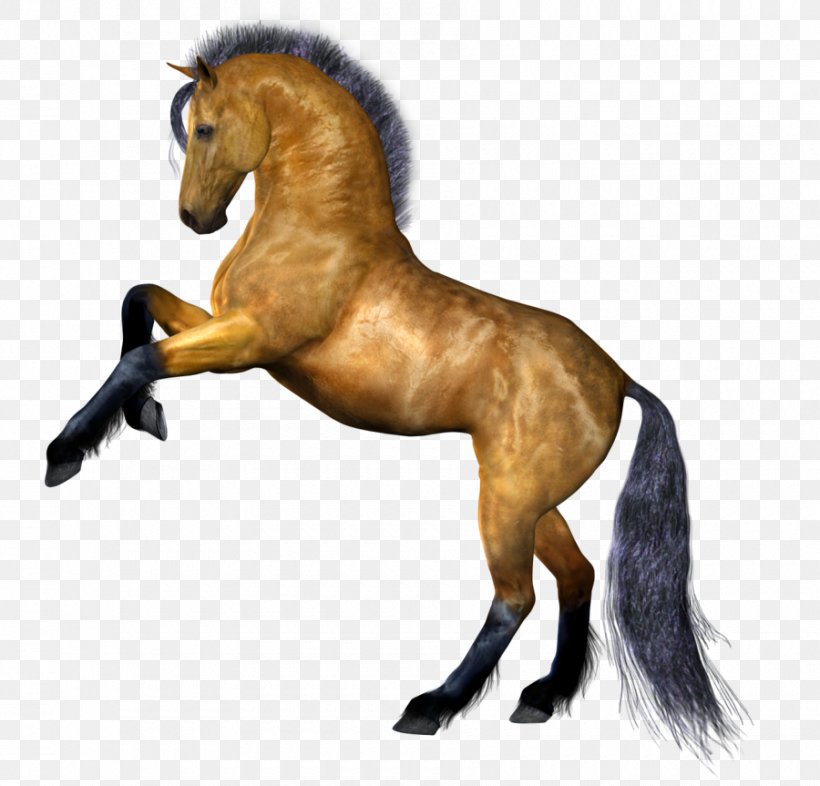 Horse Stallion Clip Art, PNG, 900x863px, Mustang, Horse, Horse Like Mammal, Horse Supplies, Horse Tack Download Free