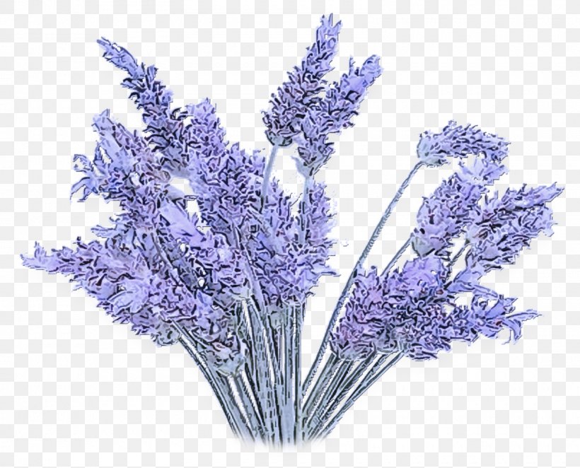 Lavender, PNG, 1600x1293px, Flower, Cut Flowers, English Lavender, Flowering Plant, Lavender Download Free