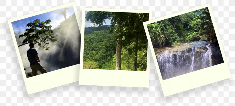 Photographic Paper Picture Frames Photography, PNG, 1171x531px, Paper, Photographic Paper, Photography, Picture Frame, Picture Frames Download Free