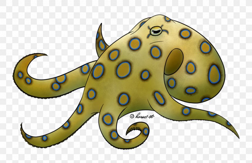 Greater Blue-ringed Octopus Drawing Giant Pacific Octopus, PNG, 1280x826px, Octopus, Blueringed Octopus, Cartoon, Cephalopod, Digital Art Download Free