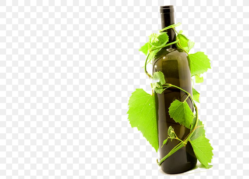 Red Wine Common Grape Vine Bottle Wine Glass, PNG, 591x591px, Red Wine, Bottle, Common Grape Vine, Drink, Drinkware Download Free