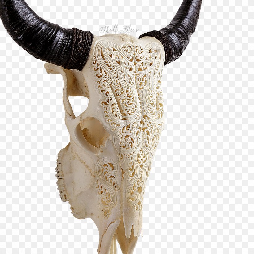 Texas Longhorn Skull XL Horns Bull, PNG, 1000x1000px, Texas Longhorn, Barbed Wire, Blowing Horn, Bone, Bull Download Free