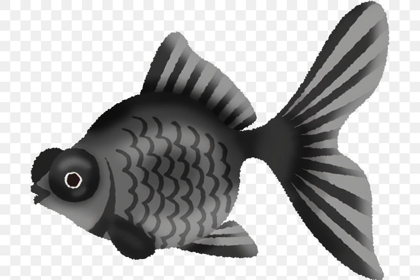 Fish Fish Pomacentridae Animal Figure Carp, PNG, 700x548px, Fish, Animal Figure, Bonyfish, Carp, Cyprinidae Download Free