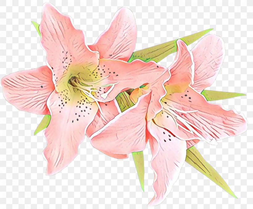 Lily Of The Incas Cut Flowers Amaryllis Jersey Lily Flower Bouquet, PNG, 1020x842px, Lily Of The Incas, Alstroemeriaceae, Amaryllis, Amaryllis Belladonna, Artificial Flower Download Free