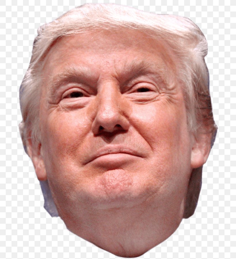 Donald Trump United States Politics Conservative Political Action Conference (CPAC) The World's Billionaires, PNG, 719x903px, Donald Trump, Billionaire, Business, Cheek, Chin Download Free
