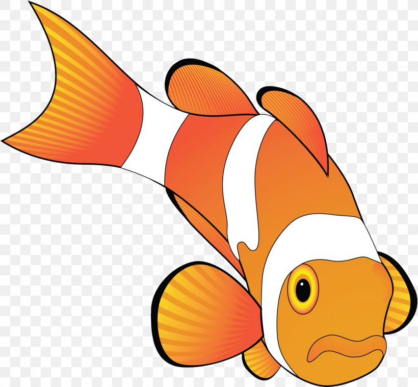 Fish Anemone Fish Fish Pomacentridae Clownfish, PNG, 1443x1337px, Fish, Anemone Fish, Clownfish, Fin, Goldfish Download Free