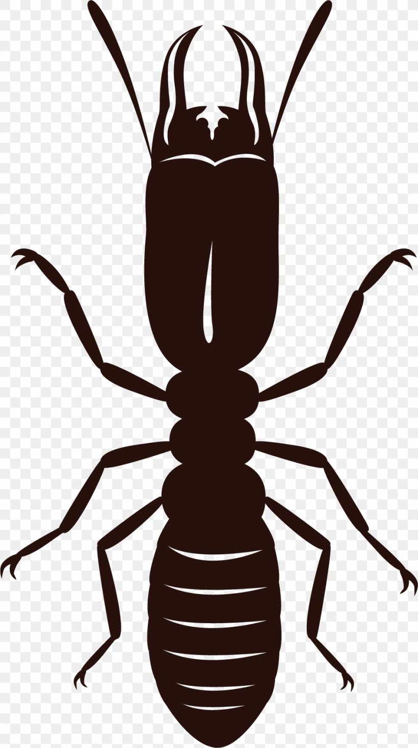 Insect Eastern Subterranean Termite Cockroach Clip Art, PNG, 947x1696px, Insect, Arthropod, Artwork, Black And White, Cockroach Download Free