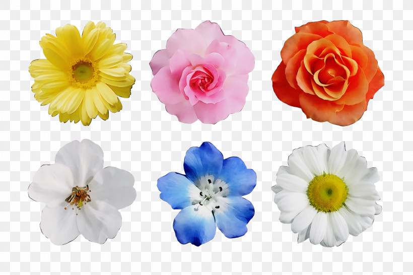 Floral Design, PNG, 1920x1280px, Watercolor, Artificial Flower, Biology, Cut Flowers, Floral Design Download Free