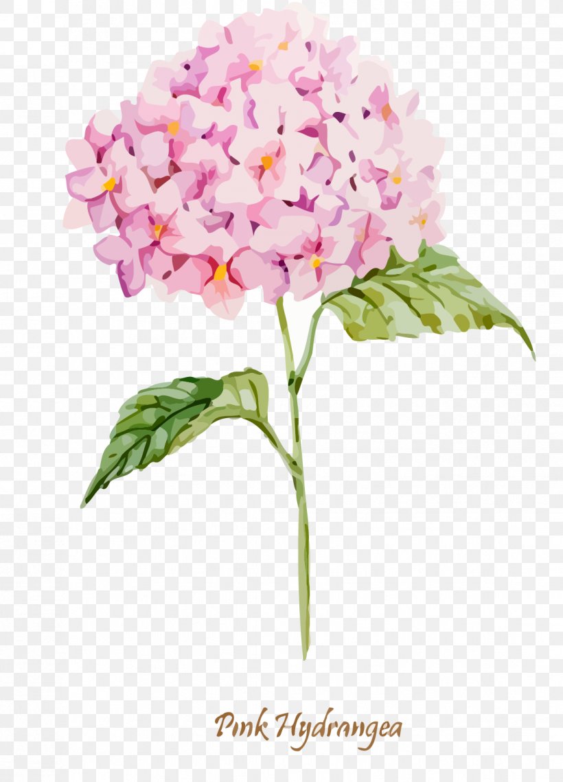 Oakleaf Hydrangea Euclidean Vector Clip Art, PNG, 1121x1558px, Oakleaf Hydrangea, Artificial Flower, Cornales, Cut Flowers, Drawing Download Free