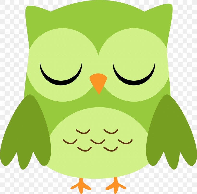 Owl Blue-green Clip Art, PNG, 3000x2958px, Owl, Amphibian, Beak, Bird, Bird Of Prey Download Free