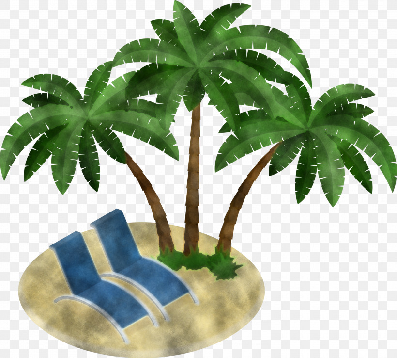 Palm Tree, PNG, 3000x2700px, Leaf, Arecales, Flower, Flowerpot, Hemp Family Download Free
