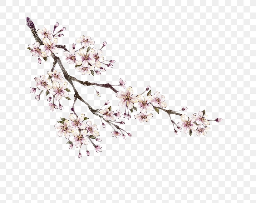 Peach Download, PNG, 650x650px, Peach, Blossom, Branch, Cherry Blossom, Flower Download Free