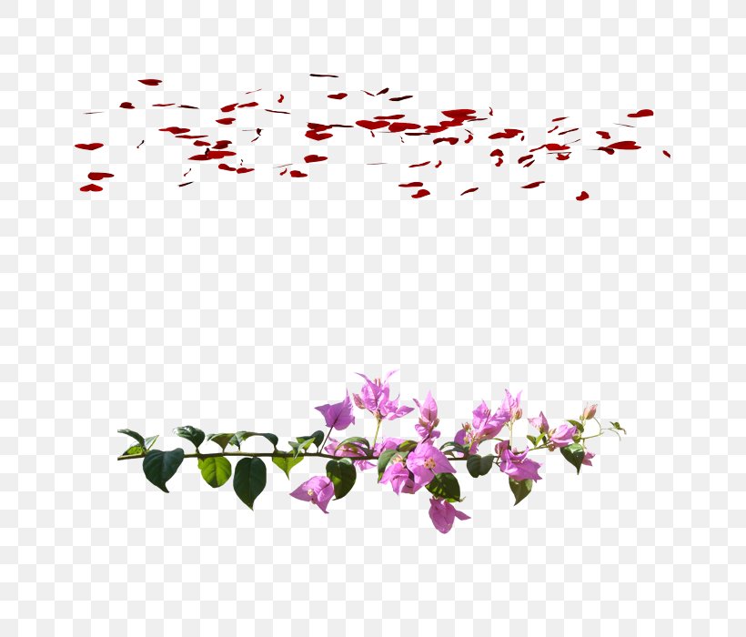 Petal Flower Red, PNG, 700x700px, Petal, Blossom, Branch, Flora, Floral Design Download Free