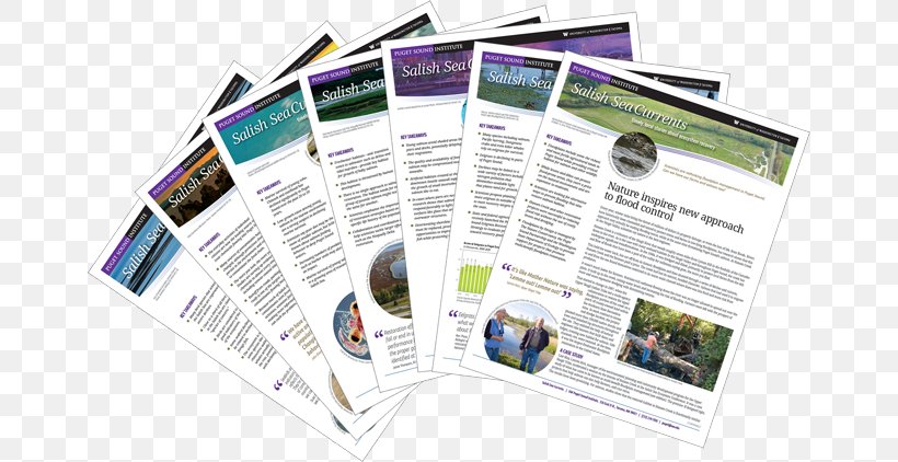 Puget Sound Research Brochure Curriculum Vitae, PNG, 660x422px, Puget Sound, Brand, Brochure, Curriculum Vitae, Document Download Free