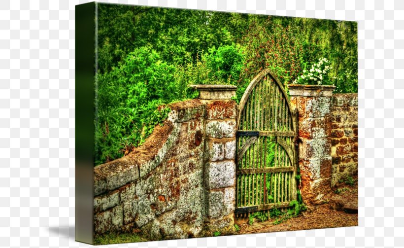 Canvas Print Printing Art Photography, PNG, 650x503px, Canvas Print, Art, Canvas, Forest, Garden Download Free