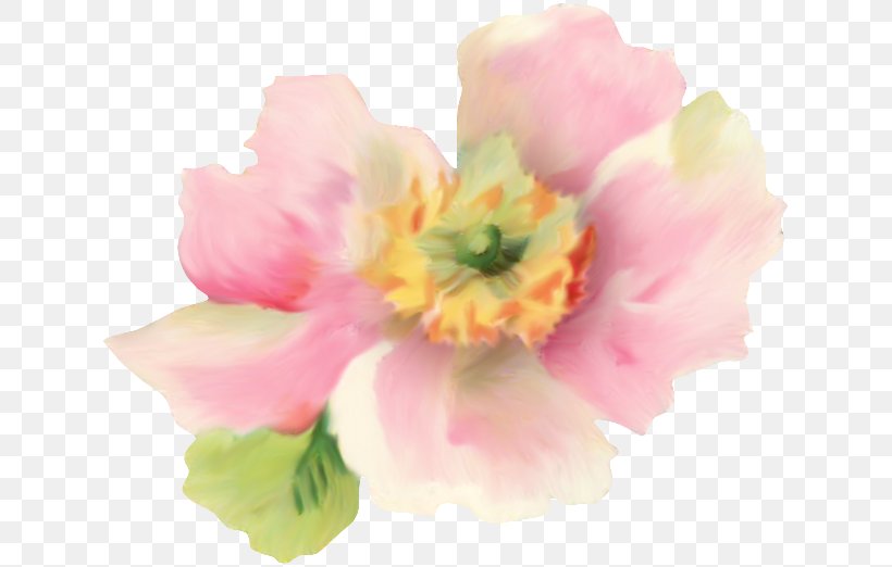 Drawing Watercolor Painting Clip Art, PNG, 635x522px, Drawing, Blossom, Color, Floral Design, Flower Download Free