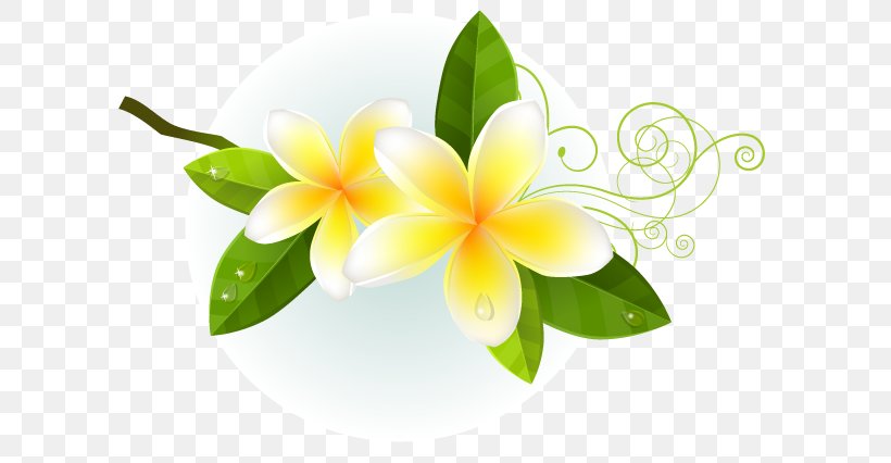 Flower, PNG, 608x426px, Flower, Art, Floral Design, Floristry, Flowering Plant Download Free