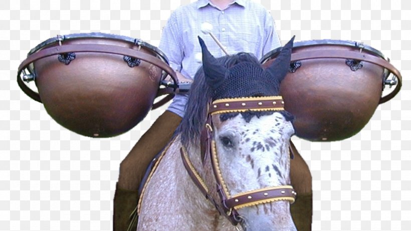 Horse Tom-Toms Timpani Lefima Drum, PNG, 960x540px, Horse, Bass, Bass Drums, Cavalry, Drum Download Free