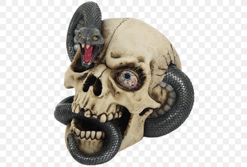 Human Skull Snake Calavera Black Mamba, PNG, 555x555px, Skull, Black Mamba, Bone, Calavera, Figurine Download Free